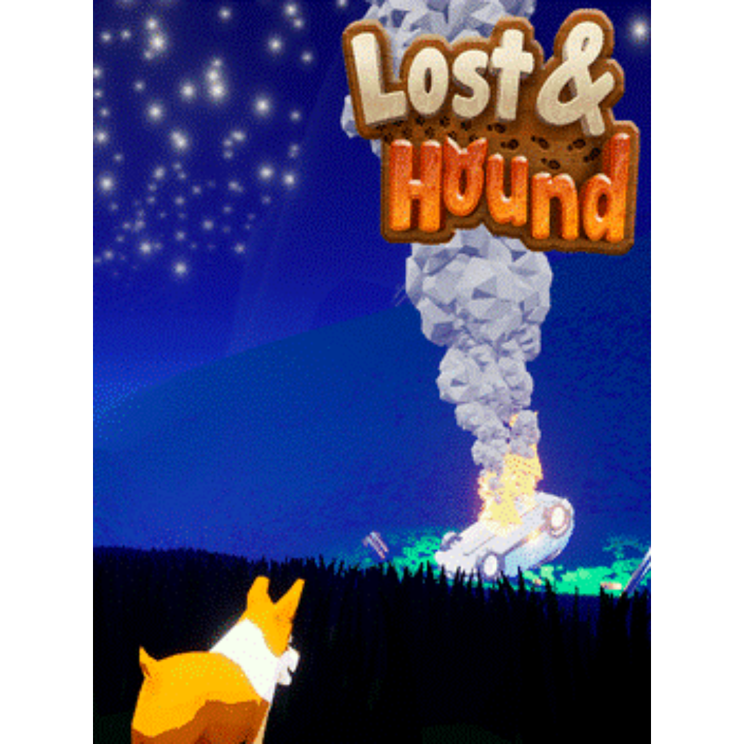 Das Cover von Lost and Hound. Cartoon-Grafik. Ein Auto liegt brennend auf dem Rücken. Ein braun-weißer Hund beobachtet es in der Nacht.